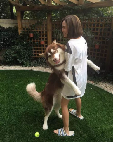 王思聪|王思聪前女友现身迪士尼被骂暴露狂：尊重你的穿衣自由，请你也尊重下小朋友