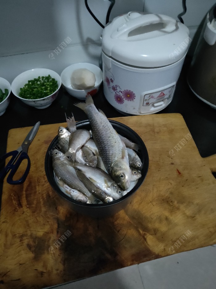 水库|今年最后一钓了，从新手到现在所有鱼获