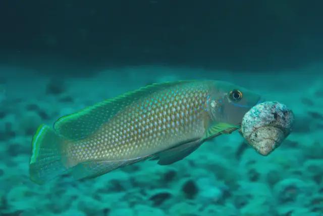 金晨|美剧|Netflix首次公布十佳美剧，每部都是巅峰，赶紧收藏