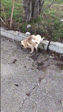 |“带女朋友出来钓鱼，但我根本不能集中精神”啊哈哈估计今天一无所获~