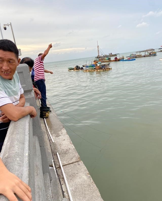 北海|不用鱼钩不用鱼竿也能钓上鱼？广西北海现“新奇钓法”，路人围观