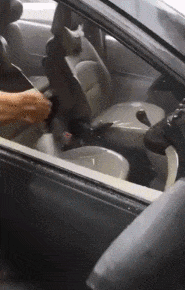 大城小乐故事 “和男友住主题酒店，很纳闷浴室里的这东西是干啥用的？”哈哈哈哈