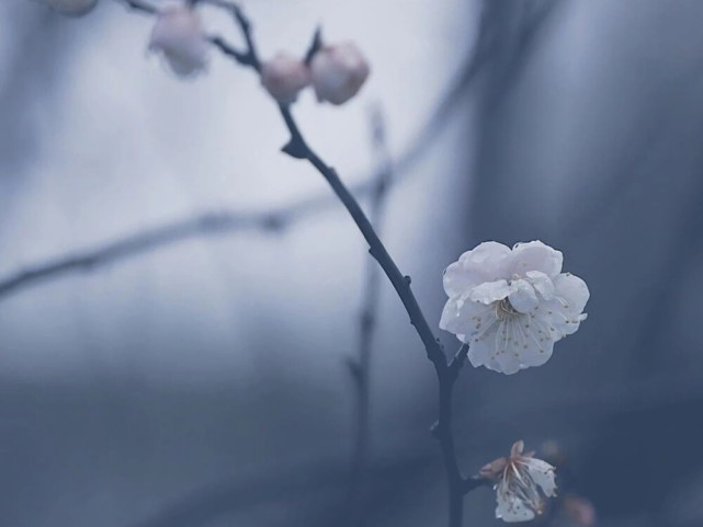 星座师安达|成为水瓶座真正的恋人,需要具备哪几点?