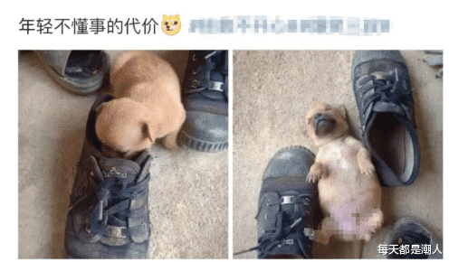 每天都是潮人|一位网友说,他刚和师傅学了拔火罐,他觉得这很简单,回家在孩子做实验,你认为他做得对吗?