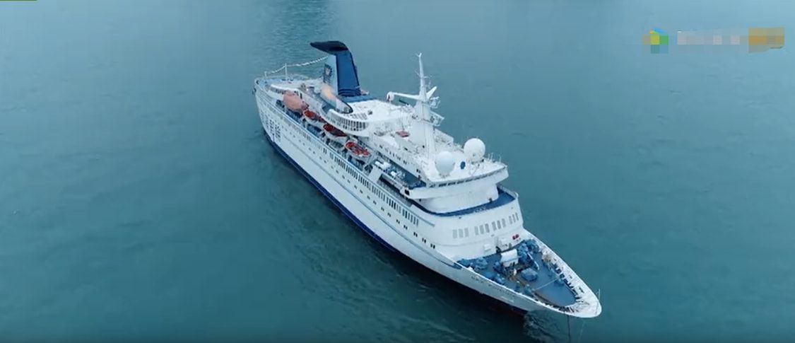 喜爱夜蒲|又一部港片“扑”了！可惜了一众的港片女神，洪金宝儿子也救不了