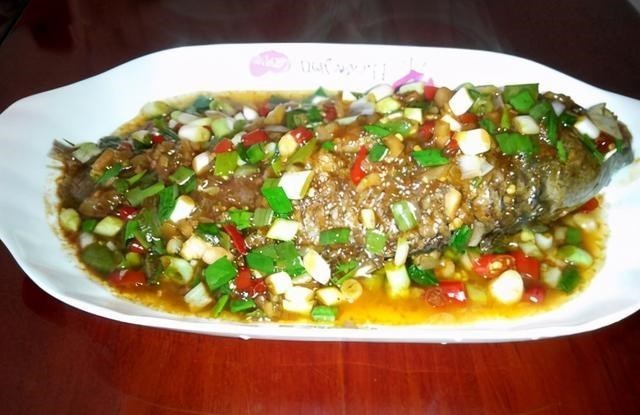 |捷克河道赤鲈鱼泛滥，中国钓鱼人：到处都是，不需要技巧