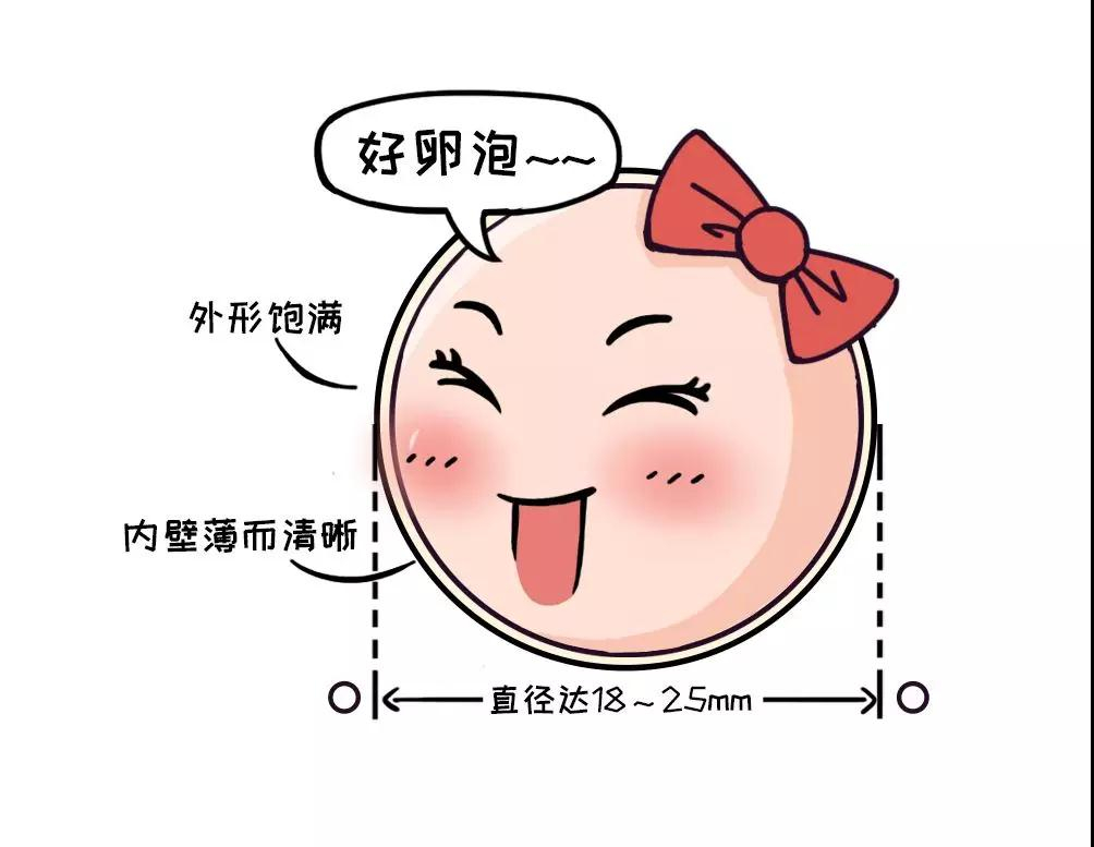 小熙试管之旅|提高卵子质量的食物有哪些呢？