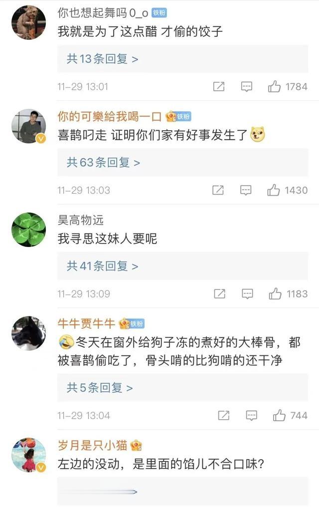 哈市女子冻在院里的一盘饺子没了，“罪魁祸首”竟然还是个团伙