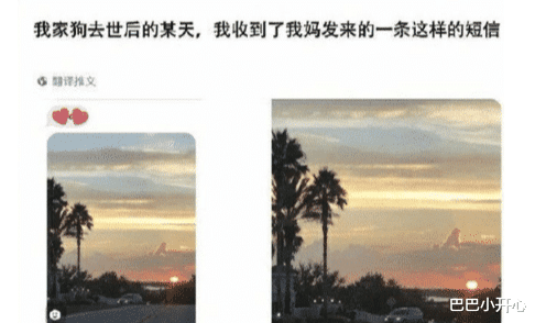 |毕业拍合照，老师挑的这个位置太好了，同学们都笑岔气