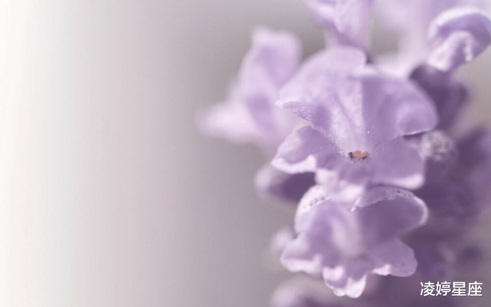水星 爱有多浓，就有多慌，水星金牛温柔宿命的背后，有你所不知的反复