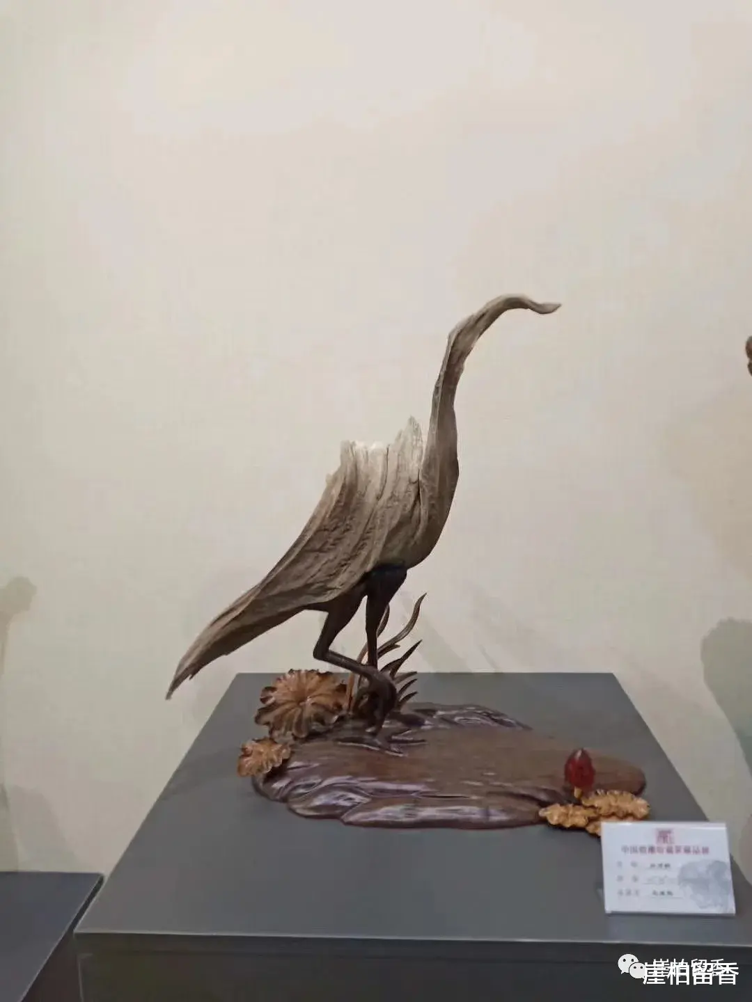 广州市 什么才是真正的崖柏象形料呢？