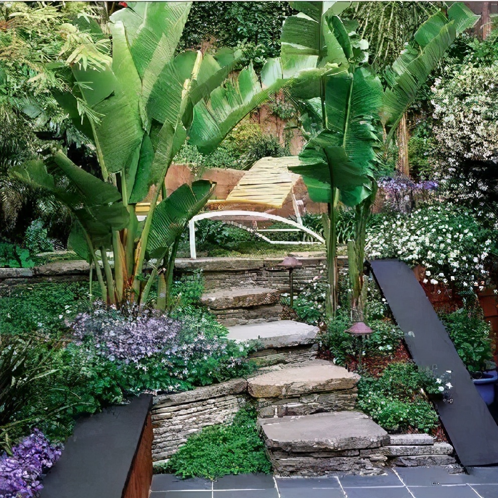 创造力景观花园设计|打造庭院空间层次感的元素——台阶的秘密,这些你知道吗