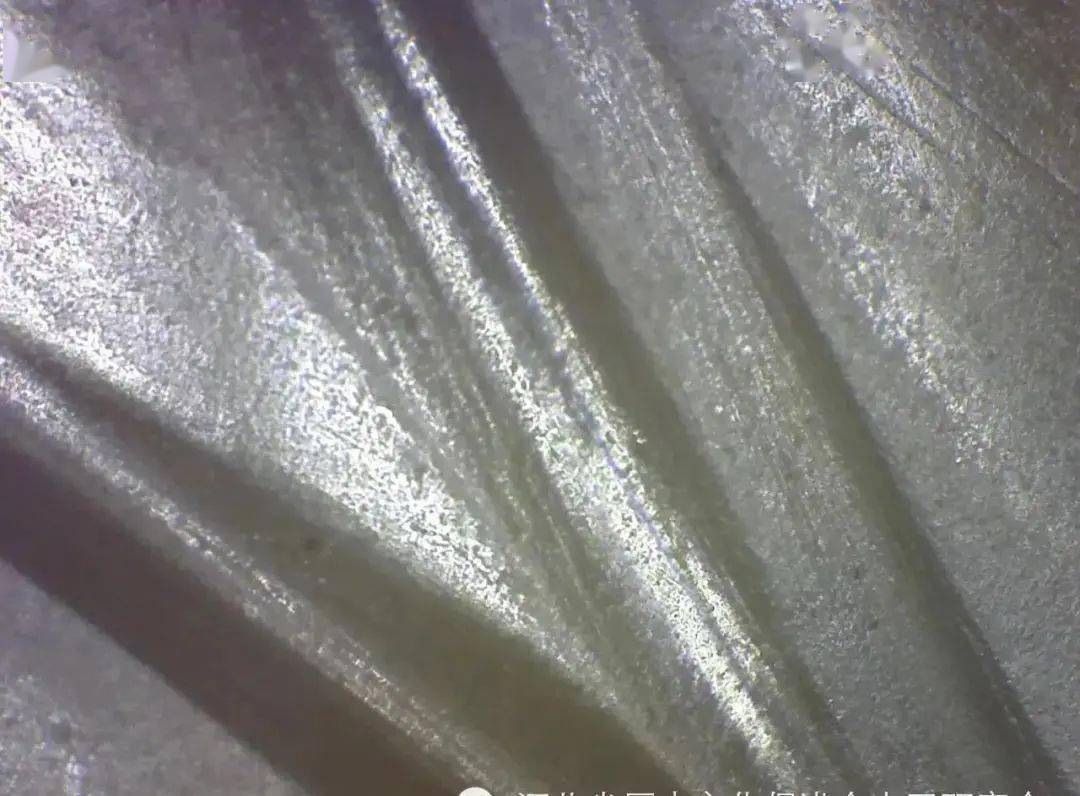 雕刻|浅论汉代玉蝉