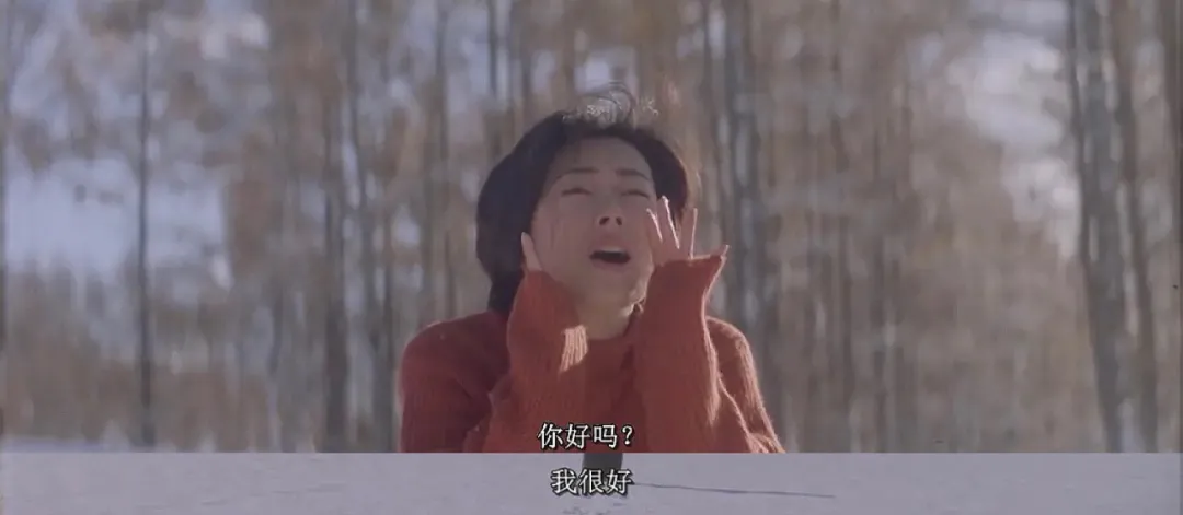 猫和狗我都喜欢|是不是真爱，身体会告诉你