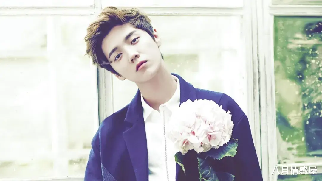 肖战|关晓彤：鹿晗真的出轨了