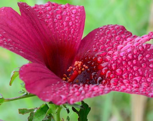 狮子女|7月底，霉运避开好运到来，4属相迎来上上签，成为大富翁