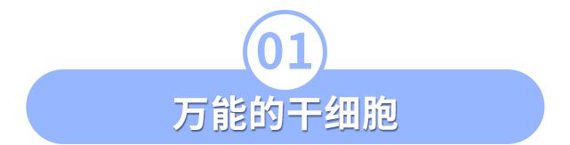 彩虹医生 影视剧中，“女主”病重只能进行干细胞移植，而它为啥能救命？
