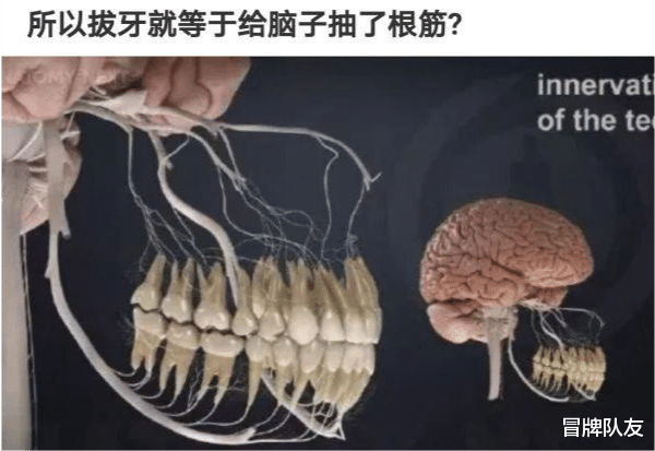 沙雕|神回复：失去视觉是盲人，失去嗓音叫哑人，失去听觉叫聋人，失去嗅觉叫什么？ ??