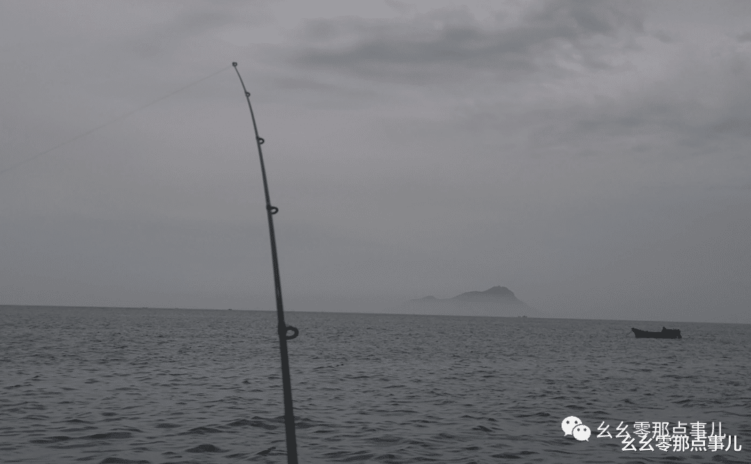 幺幺零那点事儿 捡海星、抓螃蟹、钓海鱼！北京到青岛的边玩边钓之旅不要太爽