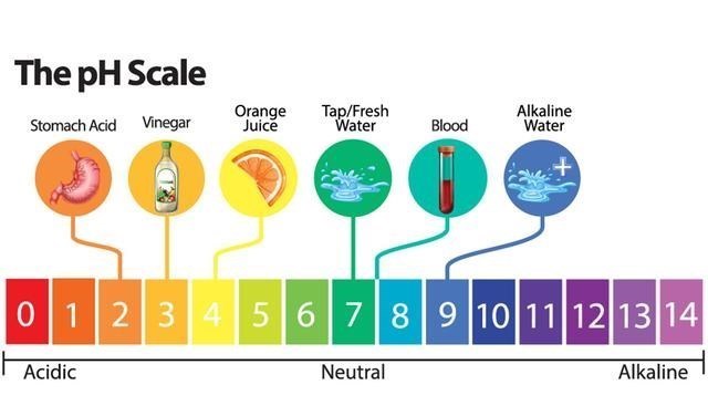 育儿心课堂|“换花草”有科学依据吗？贵州占里村的生育现象如何科学地解释？