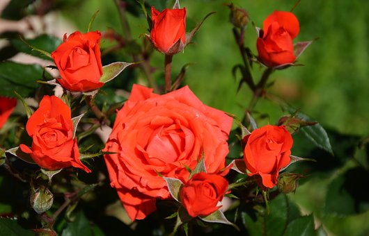 |写给自己的人生感悟句子，精辟入心，总有一句触碰你内心