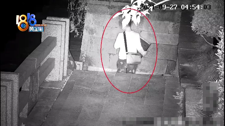 监控视频 偷了一箱iPhone13还搬走监控,“变装”男子终被抓