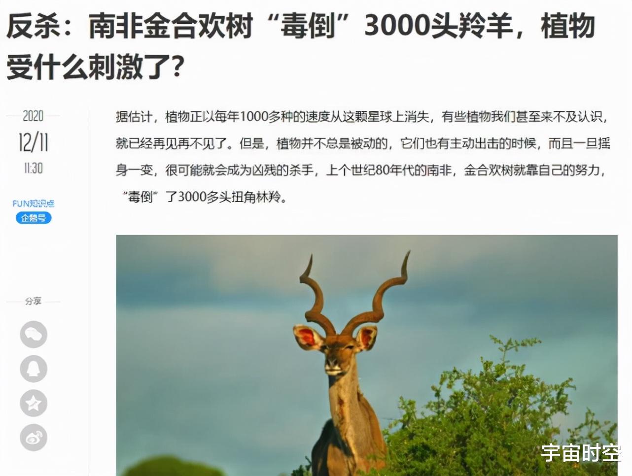 既然是自然选择,为什么动植物们没有因为进化而变得非常难吃?