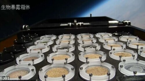 用藻类将火星染绿?中国改造计划进入实验阶段,3万米高空全存活