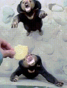 风云视角|搞笑GIF: 大妈真是老当益壮，一看在家就没少拿大爷练手吧