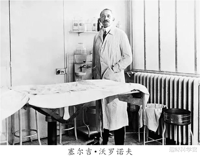 腺体|科学家到底能有多疯狂？给男性移植猴子腺体，给女性移植猩猩腺体