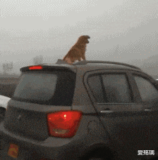 coser|你散烟的时候长辈让你少抽烟，低情商直接说好，高情商该怎么回答？