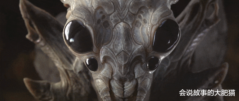 昆虫 《安德的游戏》虫族生物资料 放在真实战场人类几乎没有胜算