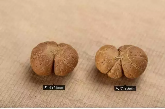 葫芦|丑到不行的文玩,价格为啥还这么贵?