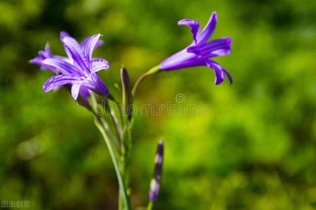 凡人凡举凡思|为生活加点健康和好运吧……