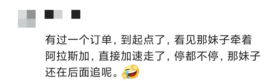 呆萌的司机 网约车司机见乘客携一物，心态瞬间崩了！一喂顺风车：你是真的狗