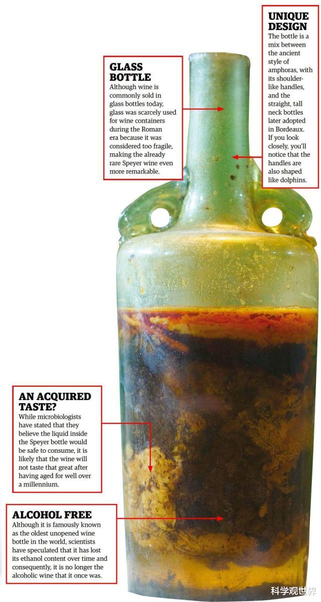 葡萄酒 开还是不开?一瓶保存1600多年的葡萄酒,引发众多考古学家争论