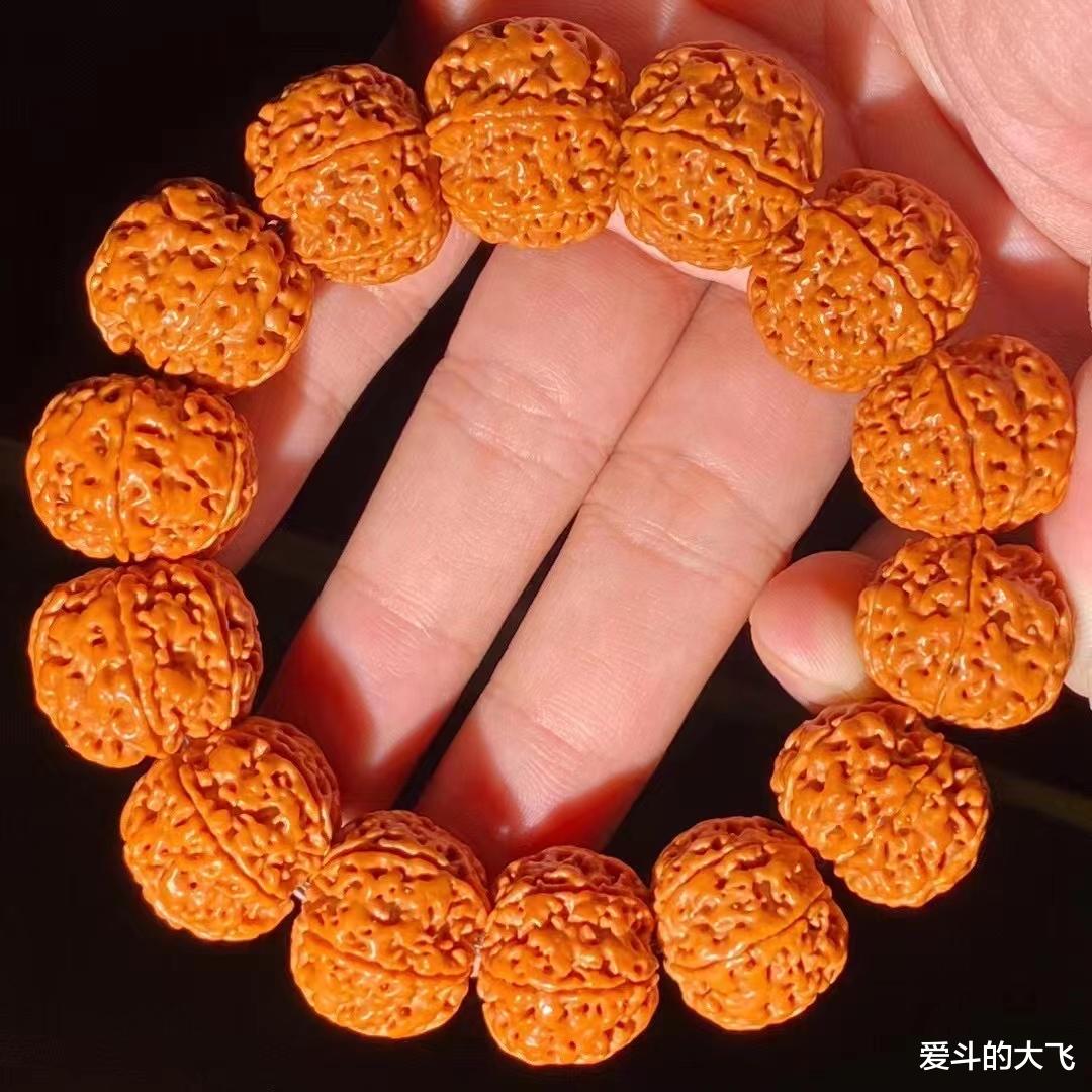 |大飞说文玩：雪花六瓣大金刚手串，不可多得的精品。