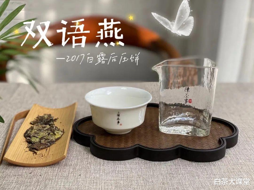 |天凉不适合饮白茶？你错了，这才是冬天最舒服的喝茶方式