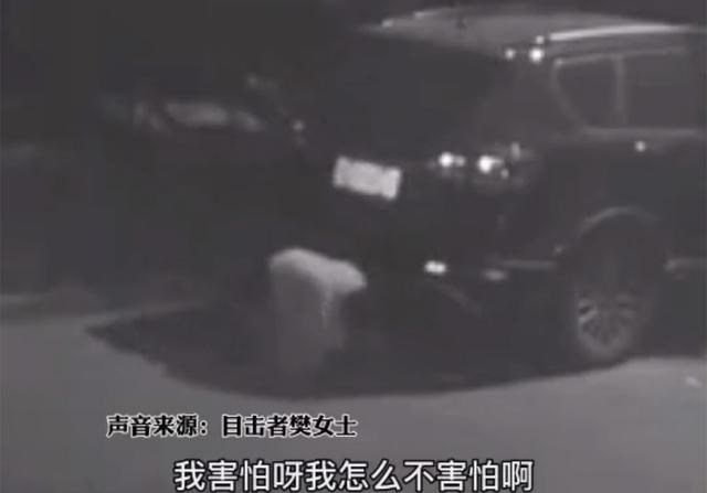 天天按沙漏 杭州一女子深夜在街上爬行：喝多了没人管，掉河里自己爬了上来