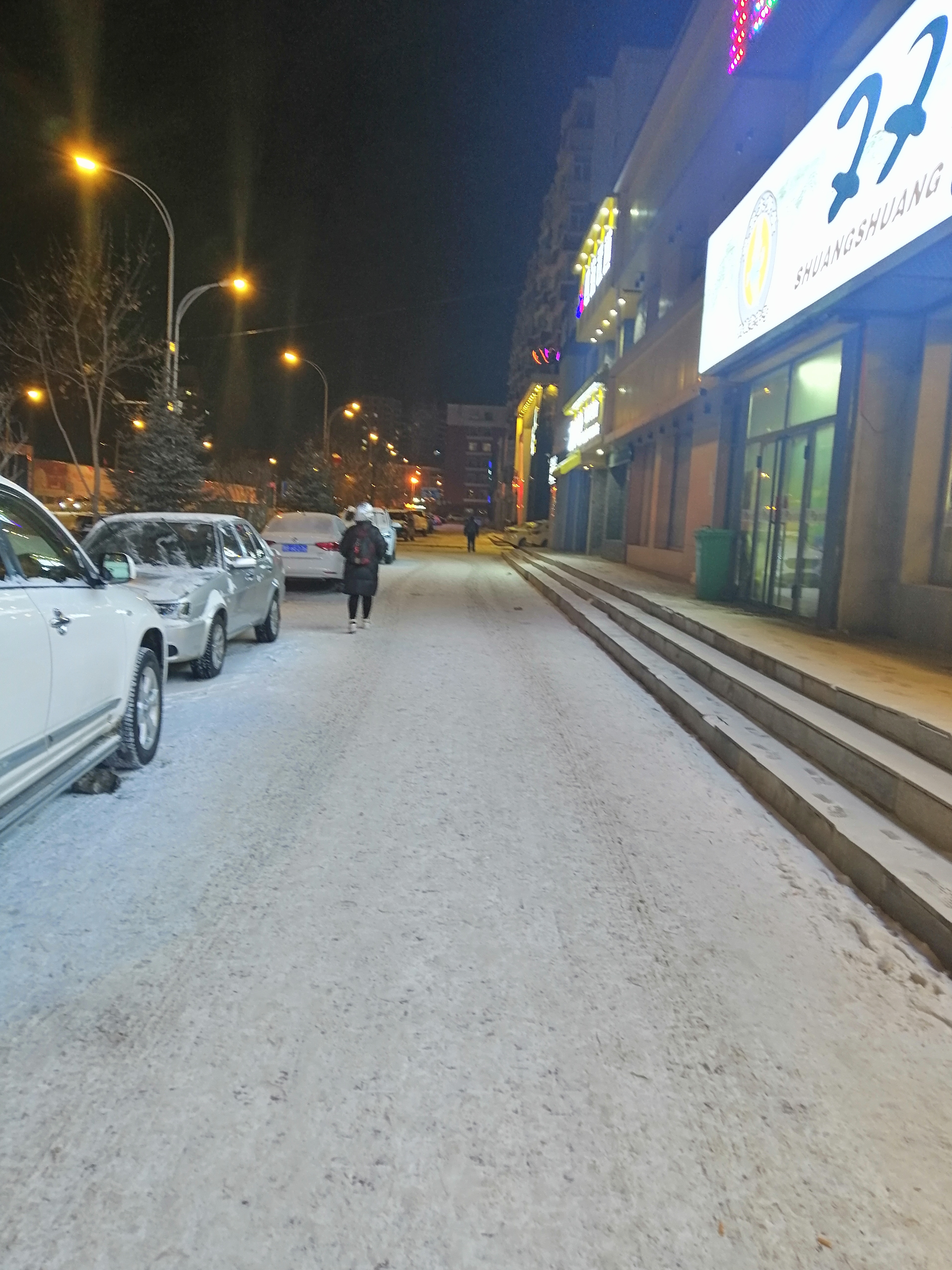 szfreeman 来鹤城遭遇大雪，晚上仔细听，还能听到雪飘落的声音