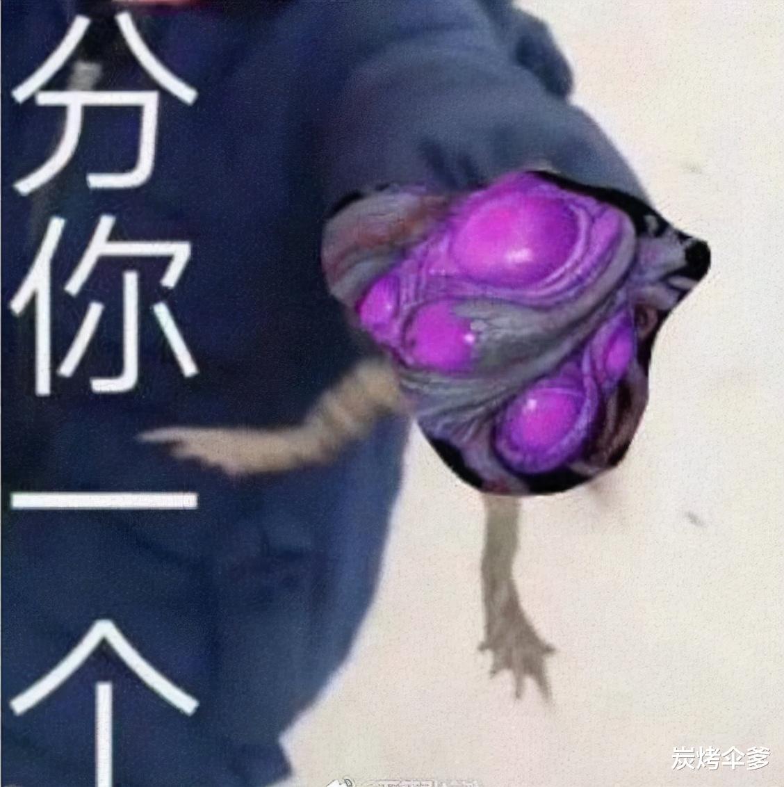 剑网3|剑网3：大侠，我与你无冤无仇，为什么要分给我一个瘤子？