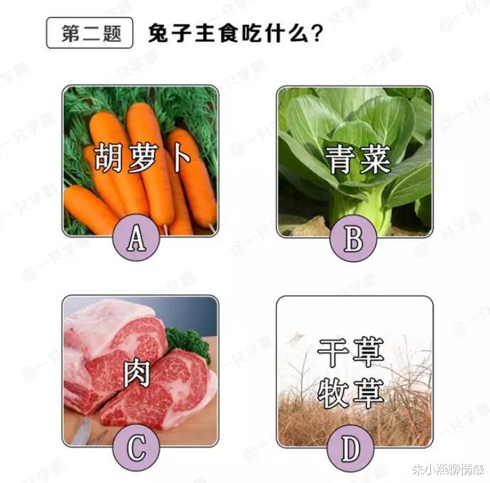 朱小燕聊情感|“以后不要在卧室里乱发自拍了，否则细节被大家看到会很尴尬的，“哈哈哈哈