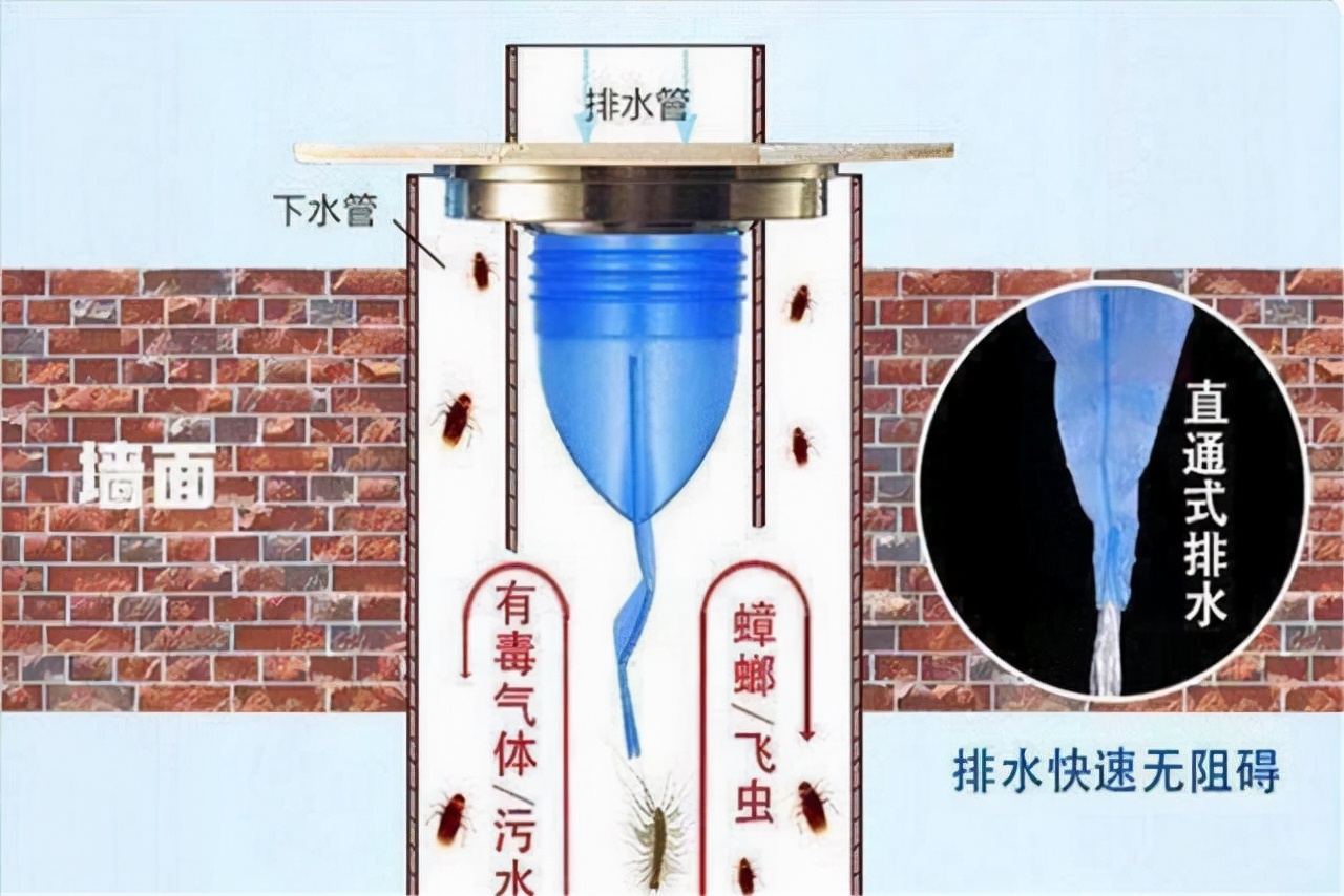 地漏|地漏经常返水返臭？不用换新，一个小物件全搞定！