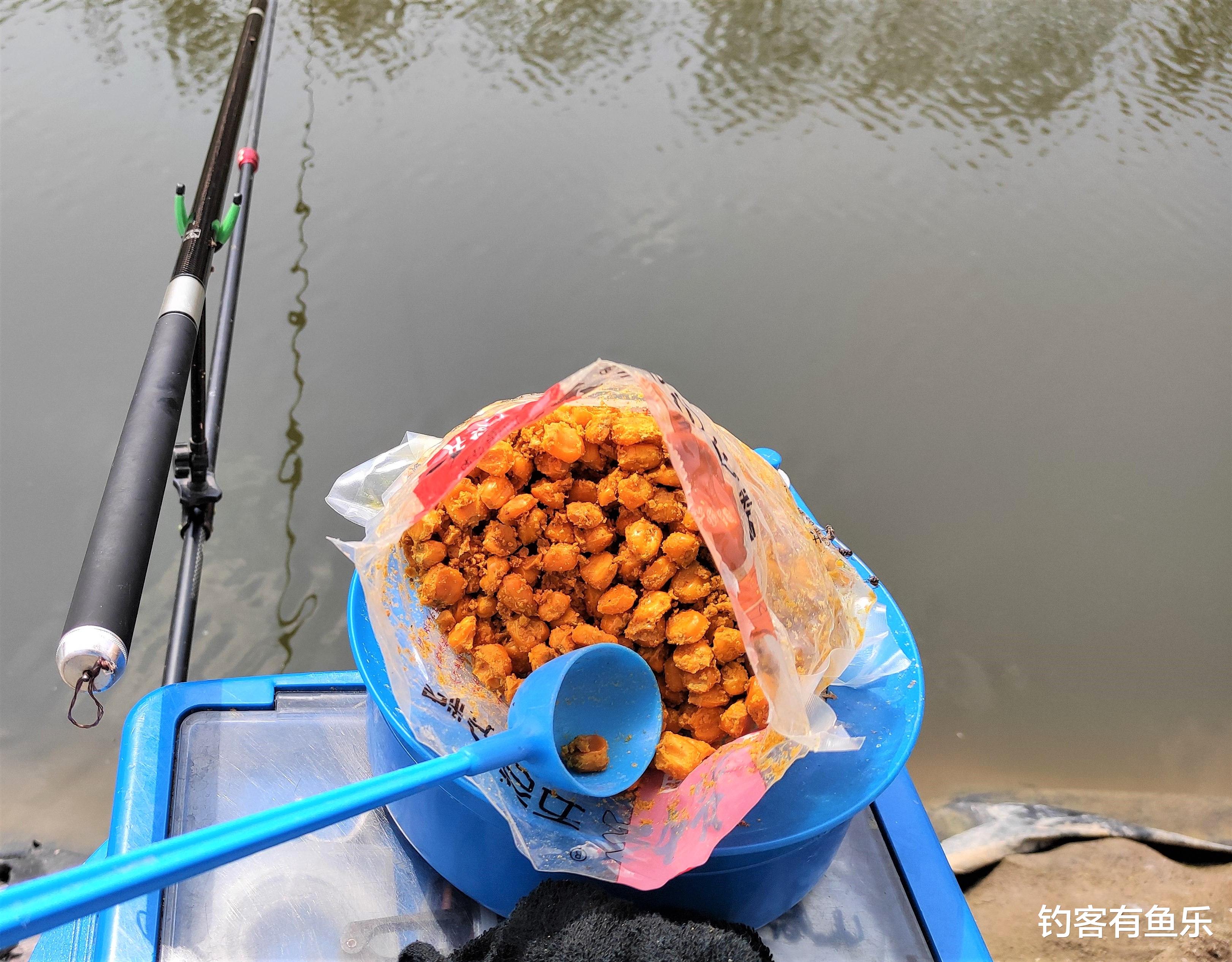 |钓鱼钓多钓少，打窝是关键，打窝方法不当，鱼窝也会成“死窝”