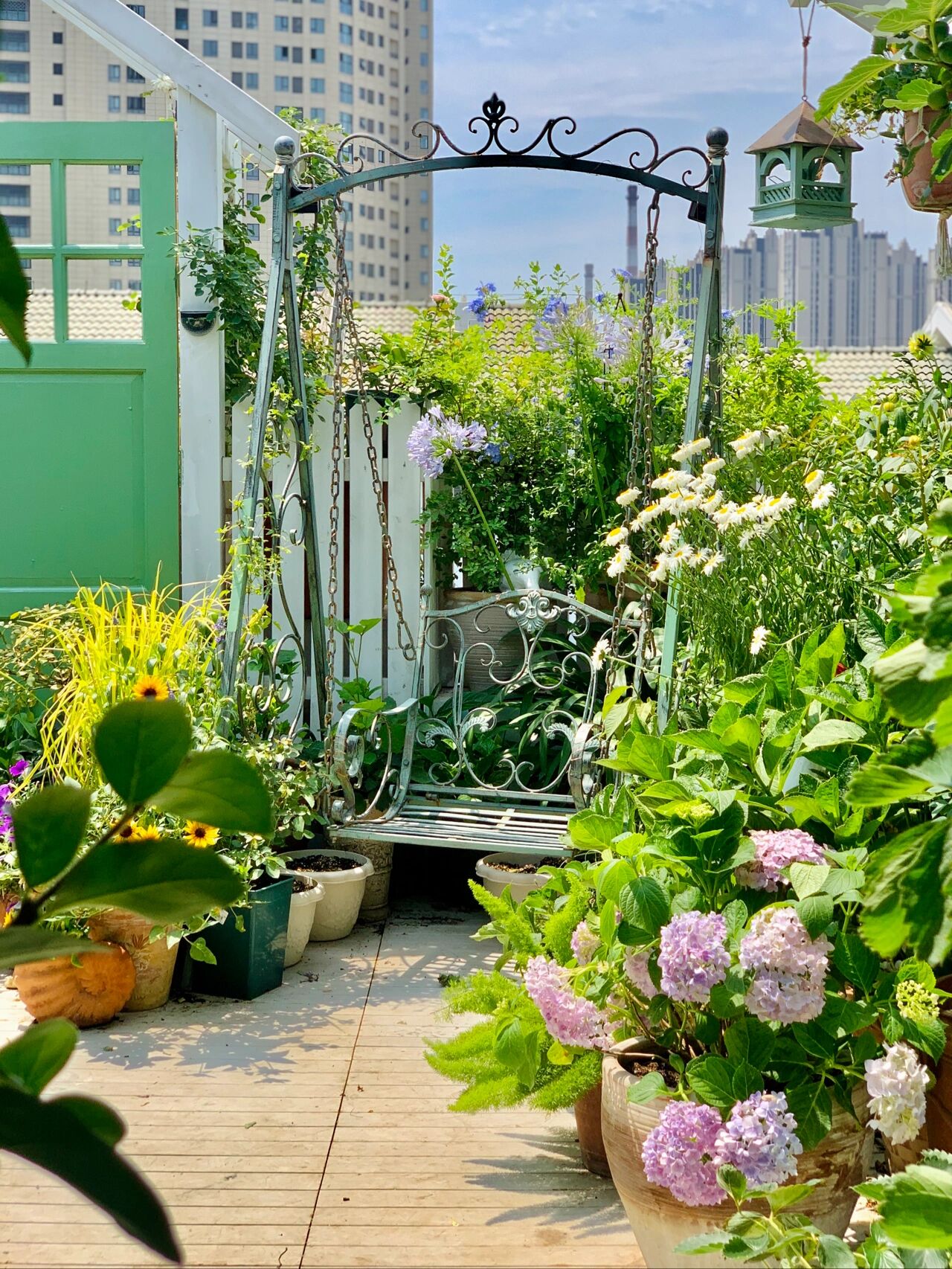 |楼顶花园改造：在城市屋顶给自己打造一个四季花园，享受田园生活