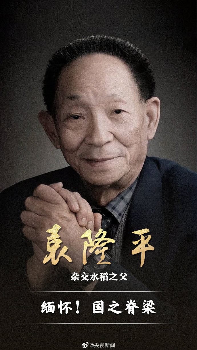 肖战|肖战、龚俊、张哲瀚等众星悼念袁隆平，御赐小仵作直播活动取消！