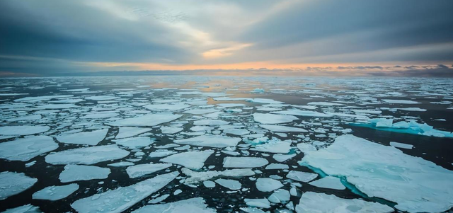 全球变暖 “地球的冰箱”冻土里都“隐藏”了些什么？一旦融化将有啥后果？
