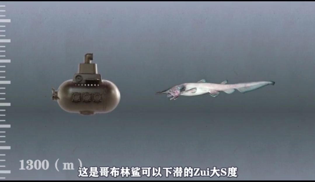 马里亚纳海沟 一万米下的海底世界你不知道的奇观!