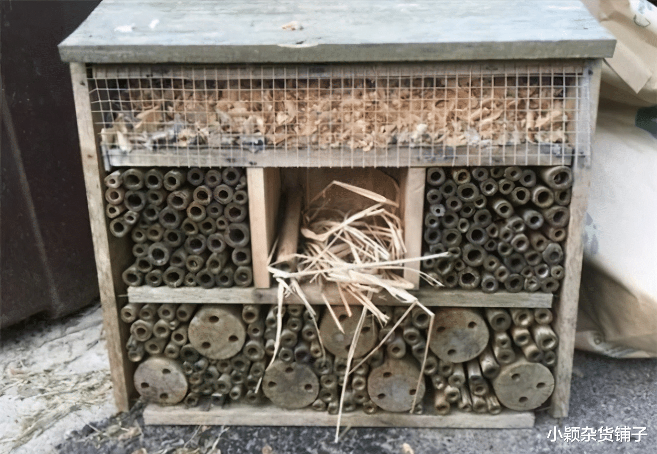  在沙滩上发现颜色鲜艳的东西，是什么奇怪的生物吗？