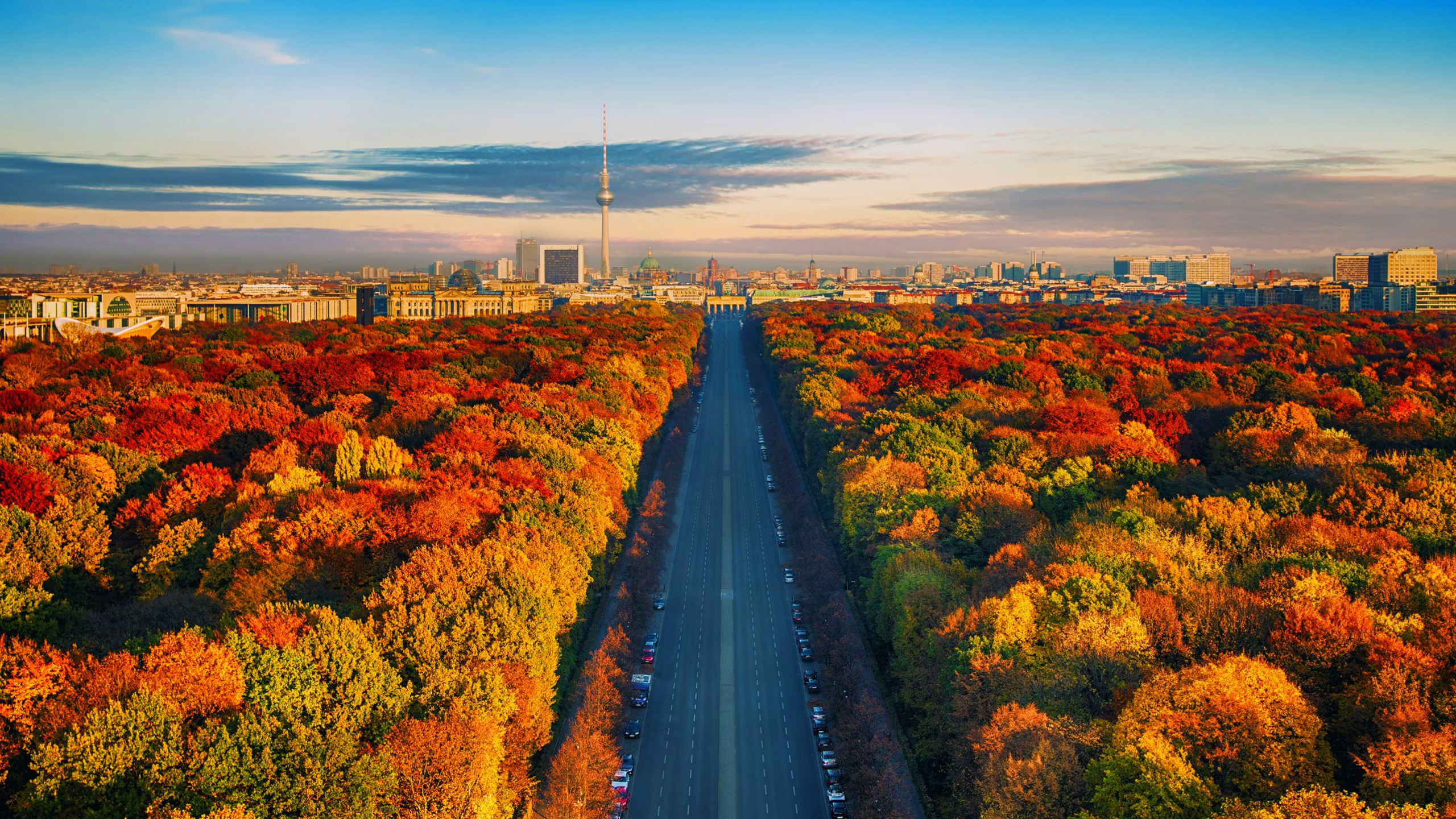 叶子星语|这个星座成熟又有气场，但也有孩子气的一面，与他相处切忌硬碰硬
